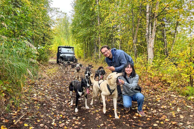 Dryland Dog Sled Tour - The Itinerary in Detail