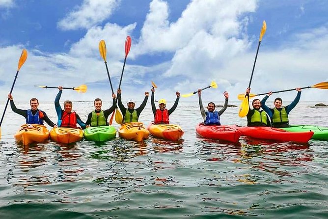 Dublin Bay Seal Kayaking Safari at Dalkey - Birdlife and Natural History: The Guide Factor