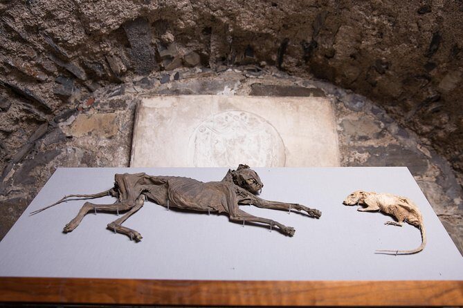 Dublin Christ Church Cathedral Admission Ticket - Final Thoughts: Is It Worth It?