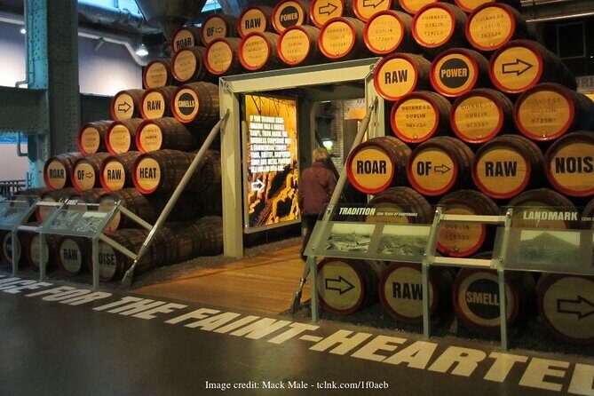 Dublin in a Day Private Tour: Book of Kells & Guinness Storehouse - What to Expect on the Dublin in a Day Private Tour