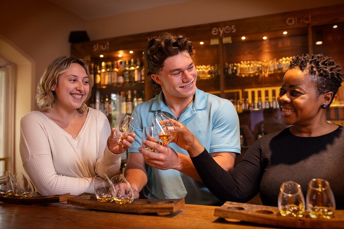 Dublin Irish Whiskey Museum and Gallery Guided Tour with Tasting - What Youre Actually Getting for $30