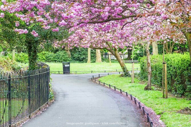 Dublin Off-The-Beaten-Path Private Literary Walking Tour - Final Thoughts