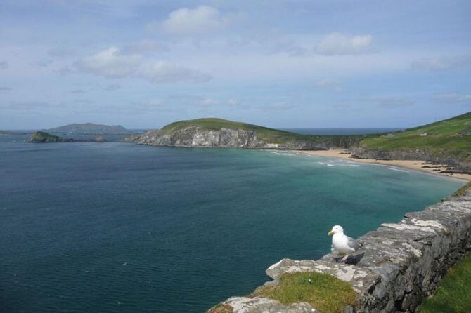 Dublin to South West 5 Day Small-Group Tour with Accommodation - Final Thoughts