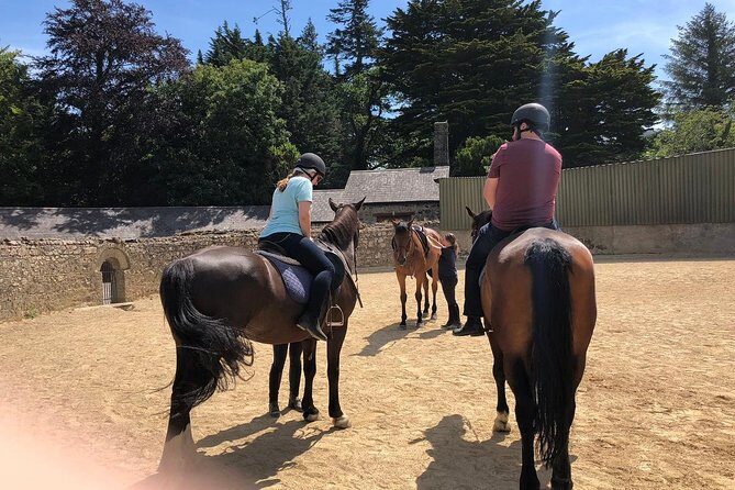 Dublin to Wicklow, Glendalough Small Group Tour with Horse Riding - Final Thoughts