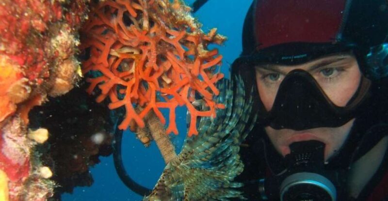 Dubrovnik: 1-Day Diving Package - An In-Depth Look at the Dubrovnik Diving Experience