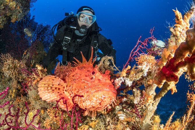 Dubrovnik 1 Dive for Certified Divers - FAQ