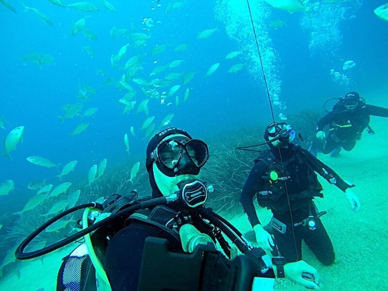 Dubrovnik 2-Hour Uncertified Divers Introductory Dive - Price and Value