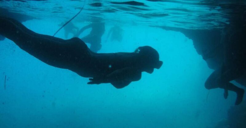 Dubrovnik: Blue Cave & Sunj Beach Boat Tour with Drinks - Key Points