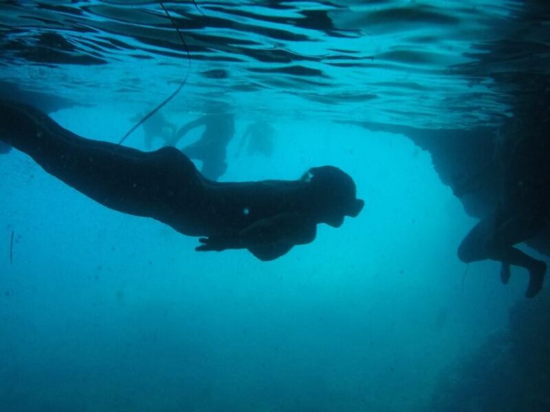 Dubrovnik: Blue Cave & Sunj Beach Boat Tour with Drinks - A Deep Dive into the Experience