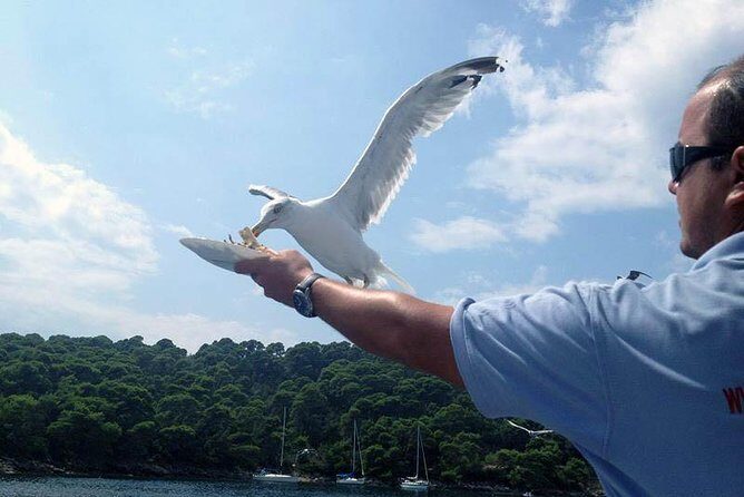 Dubrovnik Elafiti Islands Cruise with Lunch, Drinks and Pickup - The Practical Side: Price and Value