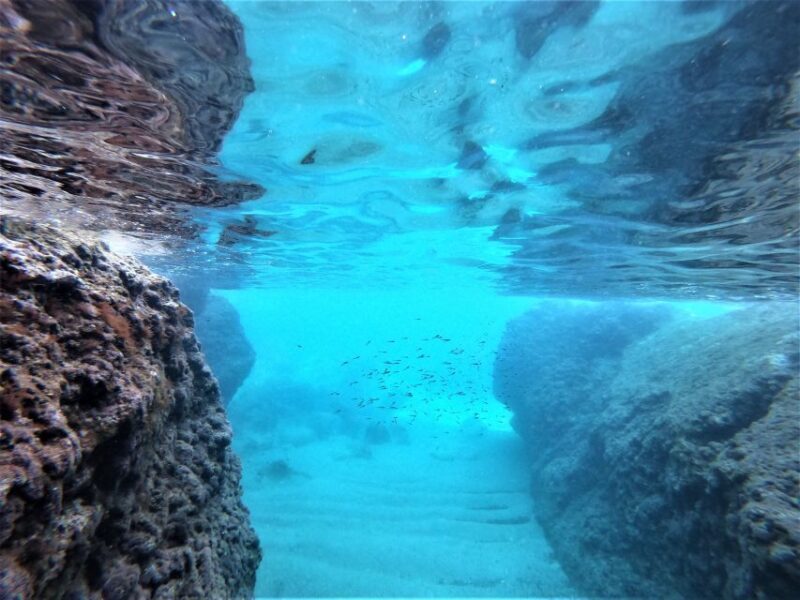 Dubrovnik: Elafiti Islands Private Full Day Boat Tour Escape - The Value and Who Should Consider This Tour