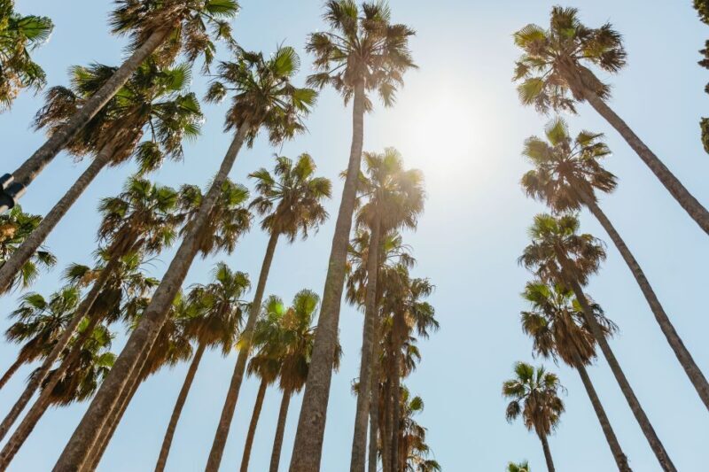 Dubrovnik: Elaphite Island Cruise w/ Drinks & Optional Lunch - What We Like and What to Keep in Mind