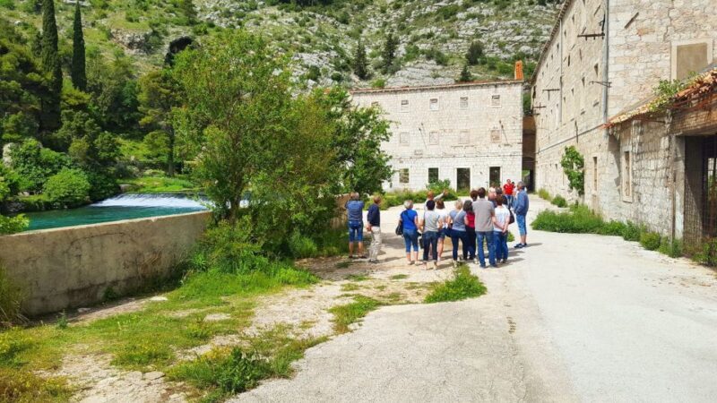 Dubrovnik: Guided Sightseeing Tour by Minivan - Who This Tour Is Best For