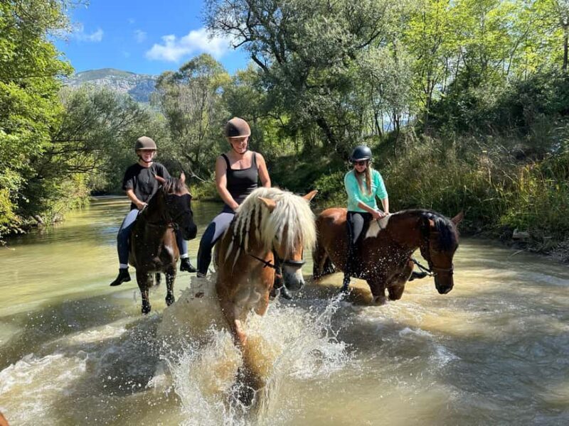 Dubrovnik: Horseback Ride with River Crossing & Snacks - Introduction to the Horseback Experience in Konavle