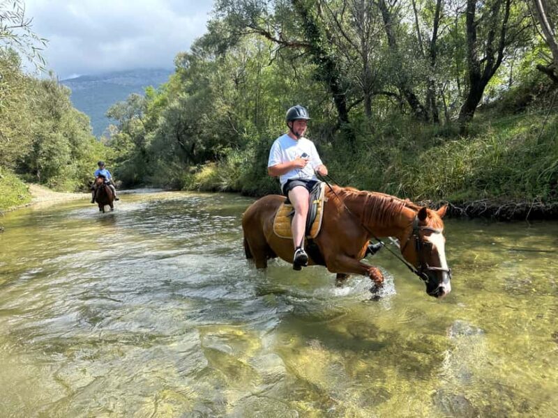 Dubrovnik: Horseback Ride with River Crossing & Snacks - What to Expect During the Tour