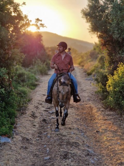 Dubrovnik Kojan Koral: Horseback Riding - Key Points