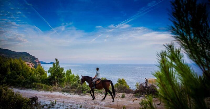 Dubrovnik Kojan Koral: Horseback Riding - Booking and Price