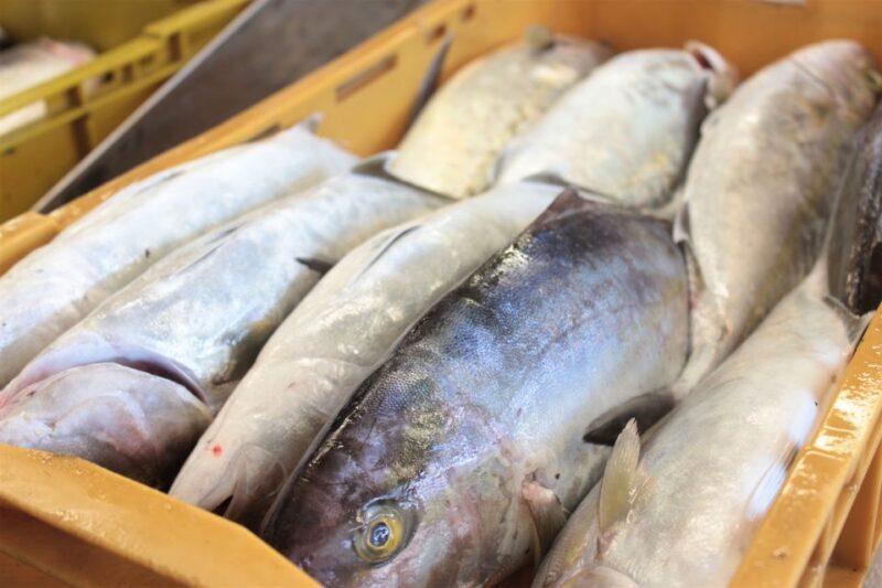 Dubrovnik: Private Cooking Experience with Wine Tasting - An In-Depth Look at the Dubrovnik Private Cooking Experience