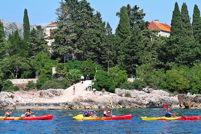 Dubrovnik: Sea Kayaking & Snorkeling Tour - The Bottom Line