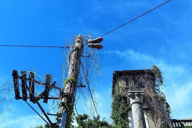 Dubrovnik Shore Excursion: Old Town Walking Tour - Frequently Asked Questions