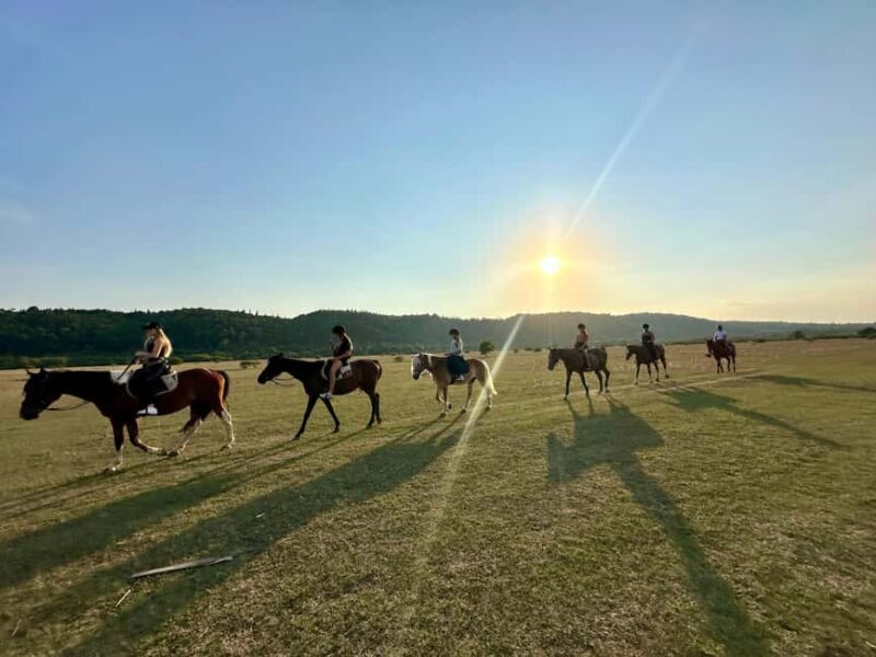 Dubrovnik: Sunset Horseback Ride with Transfers - Key Points: