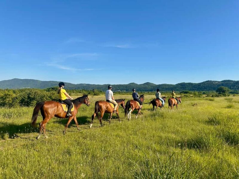 Dubrovnik: Sunset Horseback Ride with Transfers - Price & Value