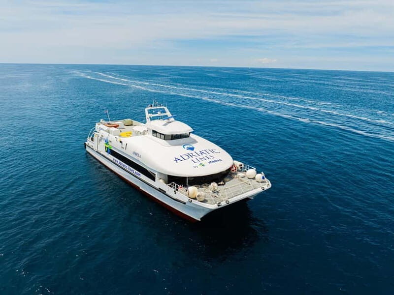 Dubrovnik to/from Kotor: Day Trip or One-Way by Fast Ferry - Practical Considerations and Potential Downsides