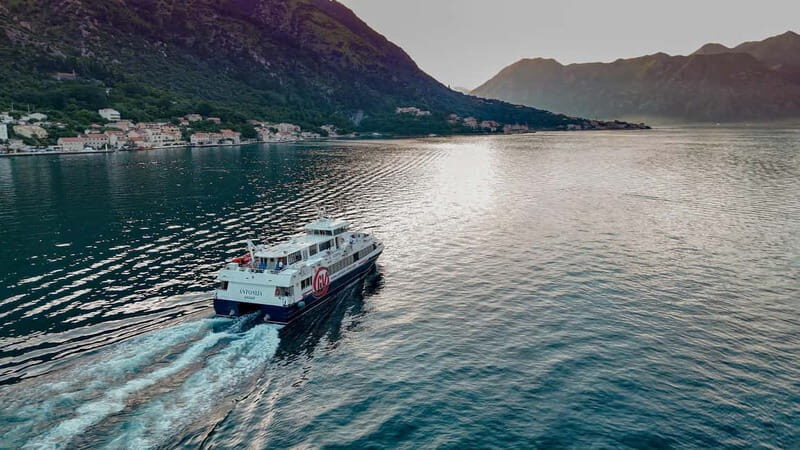 Dubrovnik to/from Kotor: Day Trip or One-Way by Fast Ferry - Who Should Consider This Tour?