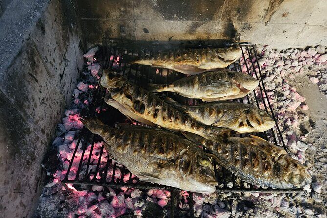 Dubrovnik to Split PRIVATE transfer with GOURMET LUNCH in price - The Journey from Dubrovnik to Split: What to Expect