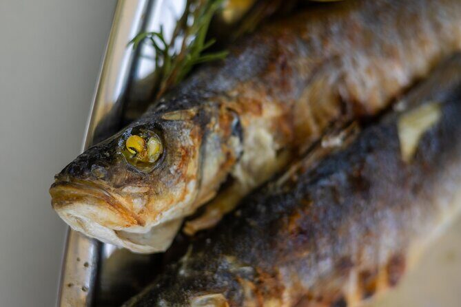 Dubrovnik to Split PRIVATE transfer with GOURMET LUNCH in price - Who Should Consider This Tour?