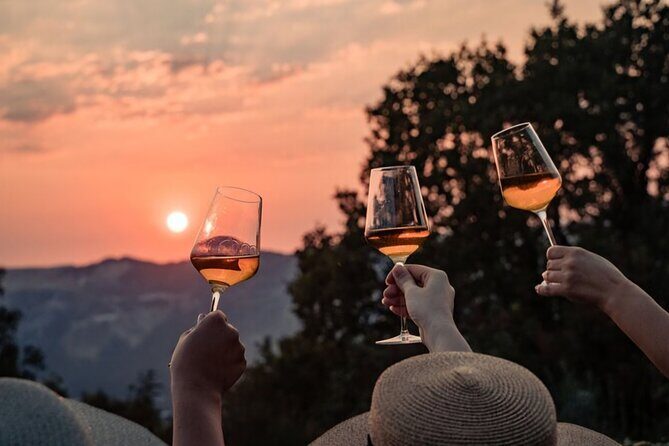 Dubrovnik Walk & Wine: Old Town Walking tour with a Glass of Wine - Key Points