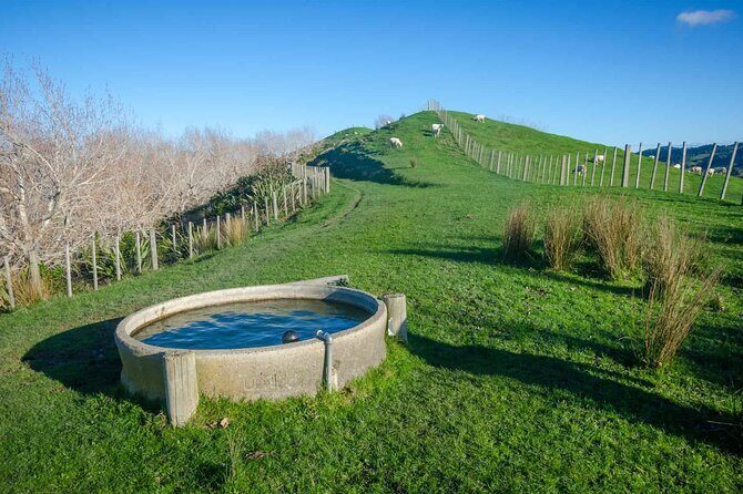 Duder Regional Park Half-Day Walking Tour - Who Will Enjoy This Tour?