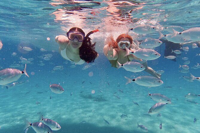 Dugi Otok Island Discovery Day Tour from Zadar - Key Points