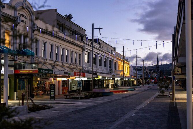 Dunedin 4 Hrs halfday Private Tour - An Overview of Dunedins Highlights