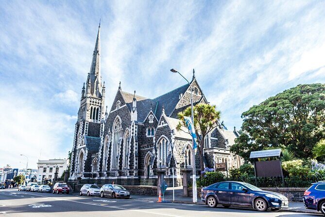 Dunedin 4 Hrs halfday Private Tour - Who Is This Tour Best For?