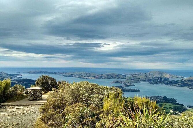 Dunedin 4 Hrs halfday Private Tour - Final Thoughts