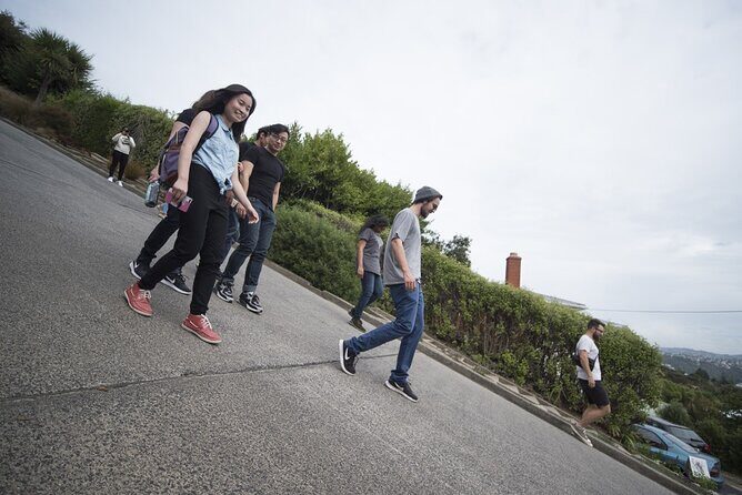 Dunedin 4 Hrs halfday Private Tour - FAQ