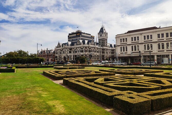 Dunedin City and Coastal Views 3-Hour Small-Group Guided Tour - Why Consider This Tour?