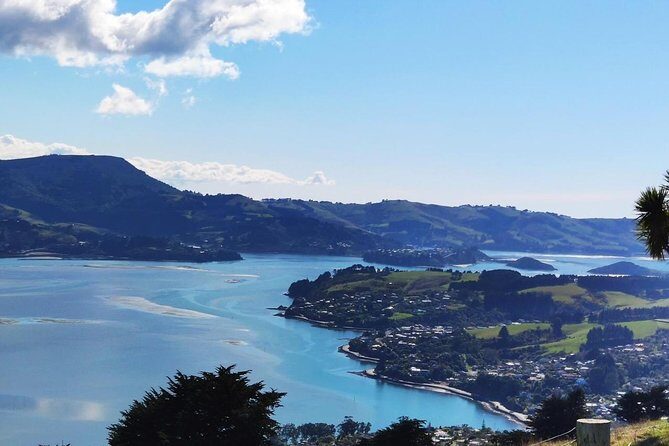 Dunedin City and Coastal Views 3-Hour Small-Group Guided Tour - Who Should Book This Tour?