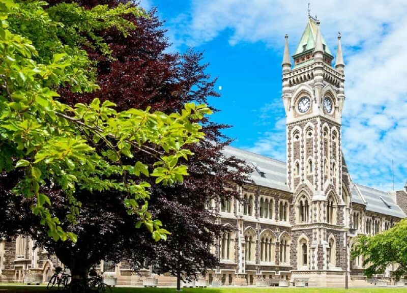 Dunedin City & Coastal Views 3-Hour Small-Group Tour - An Overview of the Tour Experience