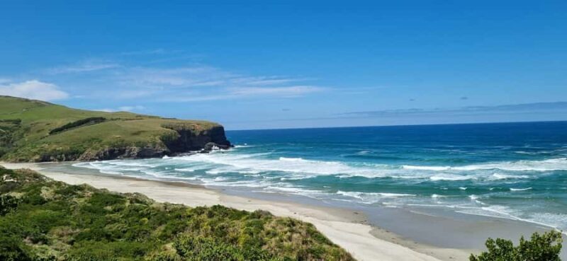 Dunedin City & Coastal Views 3-Hour Small-Group Tour - Value and Practical Considerations