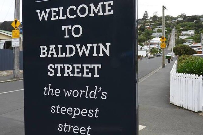 Dunedin City Highlights, Otago Peninsula Scenery & a Guided Penguin Reserve Tour - Key Points