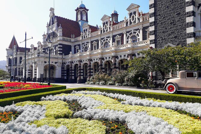 Dunedin City Highlights, Otago Peninsula Scenery & a Guided Penguin Reserve Tour - Final Thoughts: Who’s This Tour Best For?