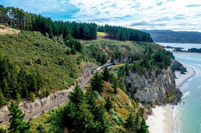 Dunedin Cruise Excursion: Express Coastline Rail Tour - Key Points