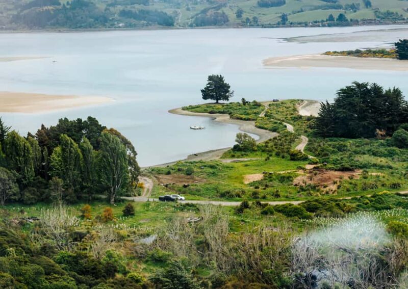 Dunedin Cruise Excursion: Express Coastline Rail Tour - FAQs