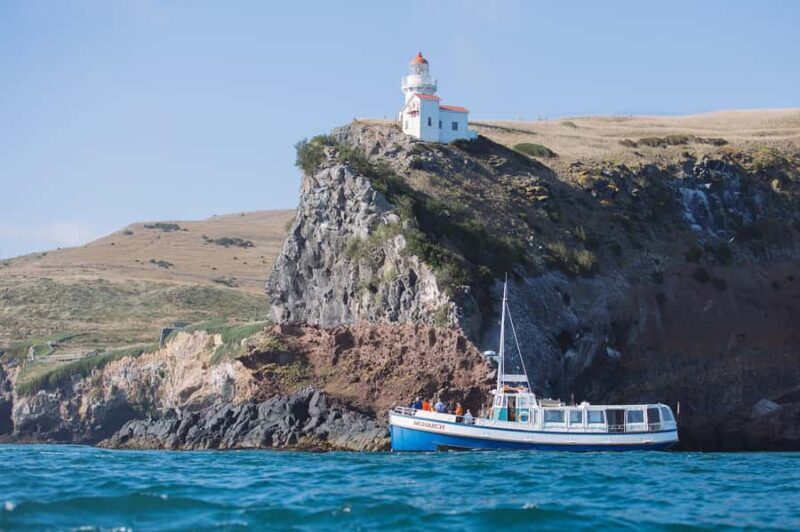 Dunedin: Monarch - One Hour Wildlife Cruise - Final thoughts