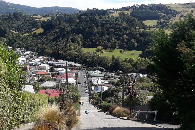 Dunedin Nature & City Tour  Full Day Cruise Excursion - Frequently Asked Questions