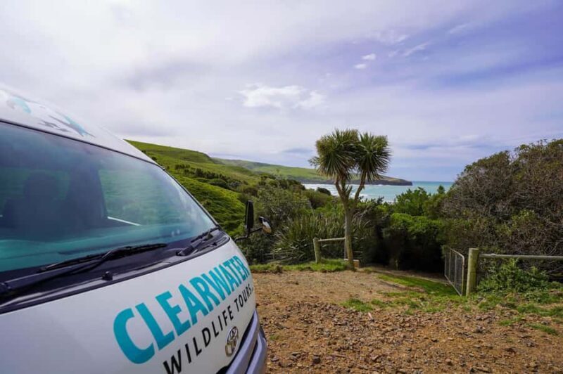 Dunedin: Otago Peninsula Clearwater Wildlife Tour - Final Thoughts: Is It Worth It?