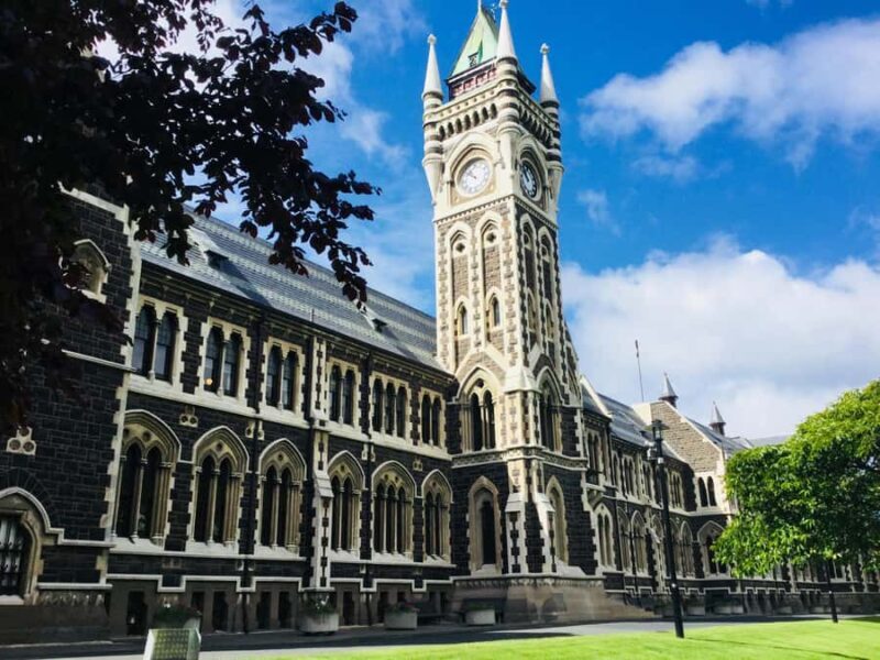 Dunedin: Otago Peninsula with Guided Penguin Reserve Tour - Final Thoughts