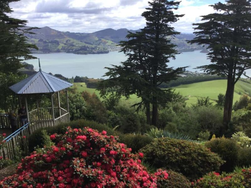 Dunedin: Peninsula with Lanarch Castle gardens & Olveston - The Breakdown of the Tour Experience